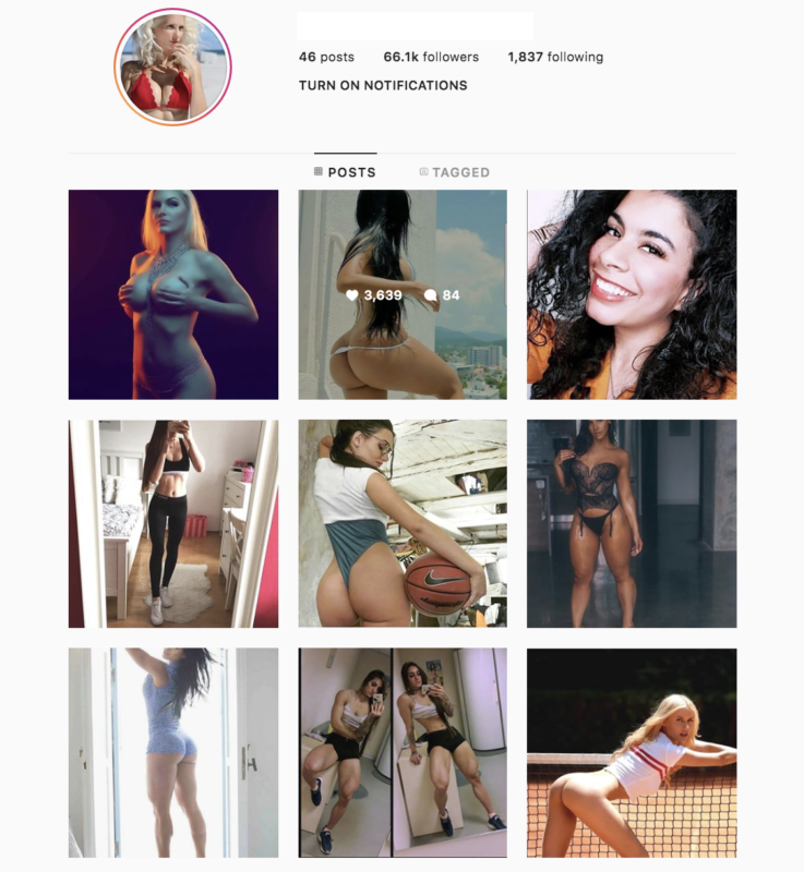 SurgeGram