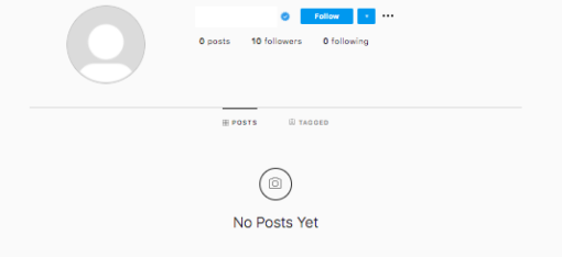Buy Instagram Account from SurgeGram