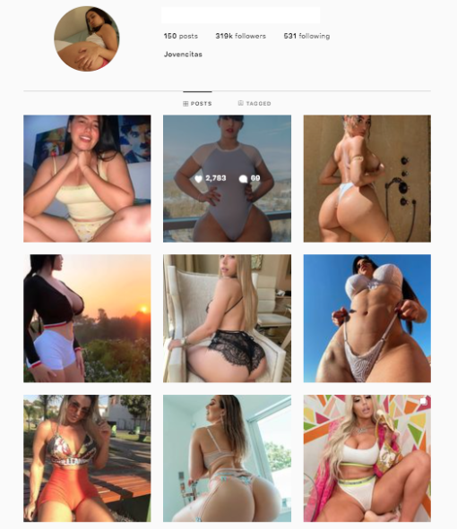 Buy Instagram Account from SurgeGram