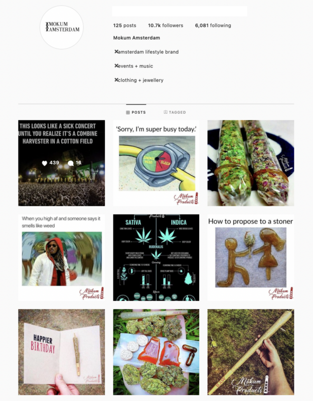 SurgeGram